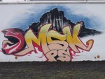 Členská schůze
