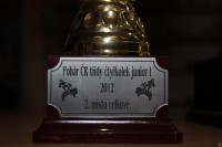 Úspěchy Michal Seňko 2013