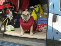 MMČR side a čtyřkolek Brezova nad Svitavou 2013