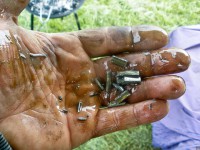 Bqc Bavorský šampionát 2014